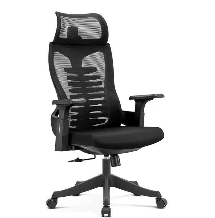 Payne Prime - Ergonomic Office Chair A08