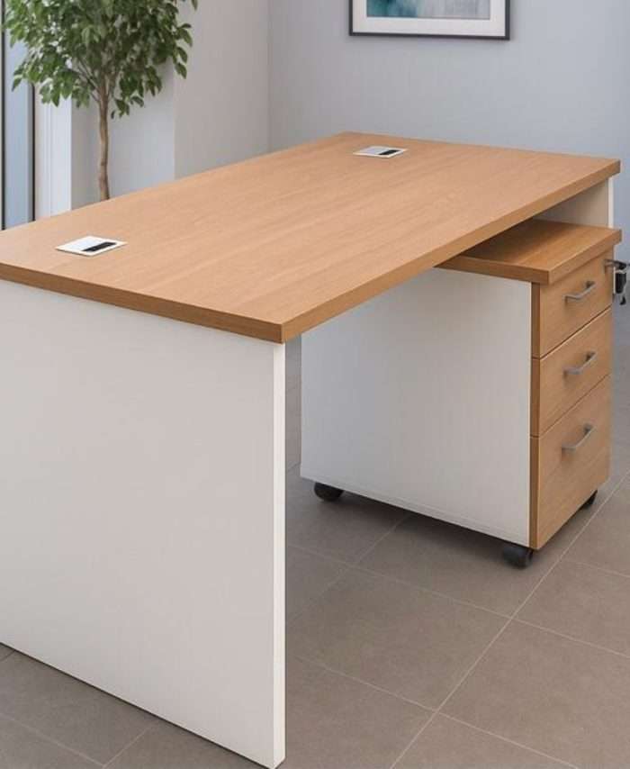 Payne Prime – UrbanNest Office Desk 5812